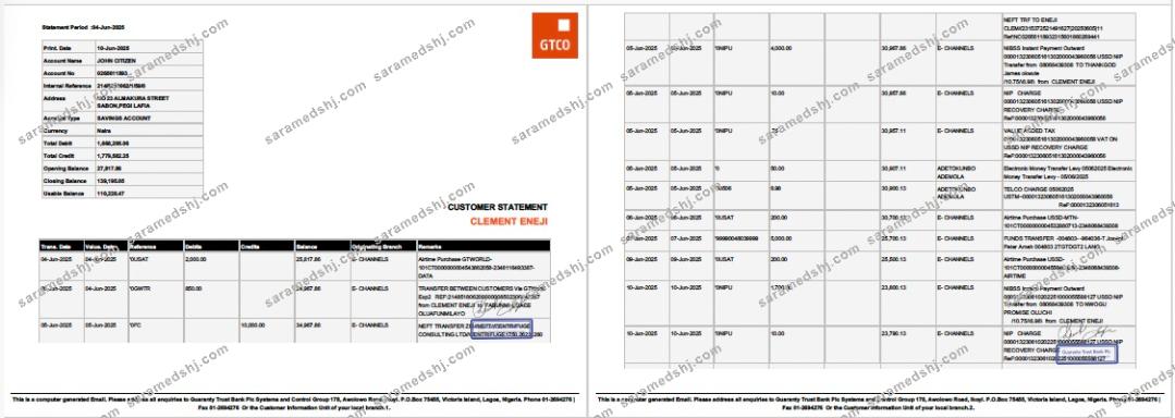 Nigeria Guaranty Trust Bank Plc account statement Word and PDF template, 2 pages
